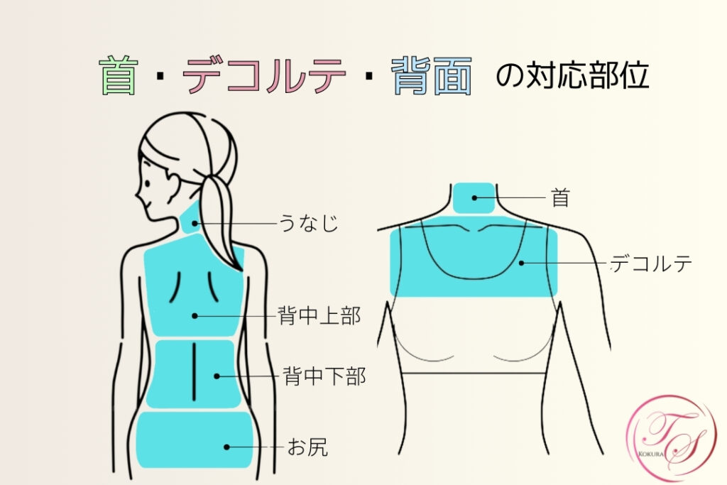 首・デコルテ・背面の対応部位: うなじ、背中上部、背中下部、お尻、首、デコルテ