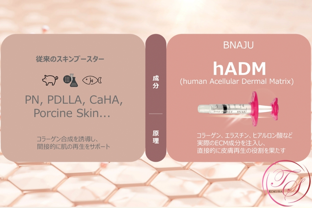 ・従来のスキンブースターは肌構成物質の合成促進（PDRN, PDLLA，豚コラーゲンなど）コラーゲン合成を誘導し、間接的に肌の再生をサポート
・Re2O（BNAJU）はコラーゲン、エラスチン、ヒアルロン酸など実際のECM成分を注入し、直接的に皮膚再生の役割を果たす