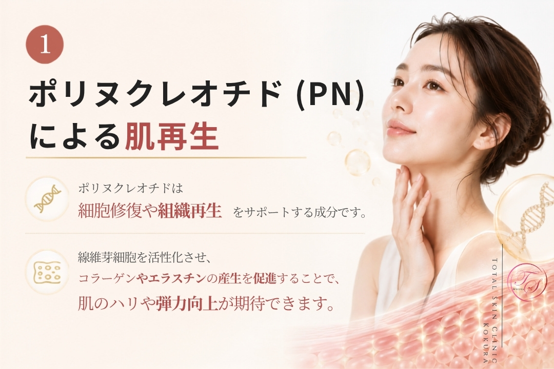 ポリヌクレオチド（PN）による肌再生を、人物と肌組織のイメージで表現し、細胞修復とコラーゲン・エラスチン産生によるハリ・弾力向上を伝えるトータルスキンクリニック小倉院の画像。